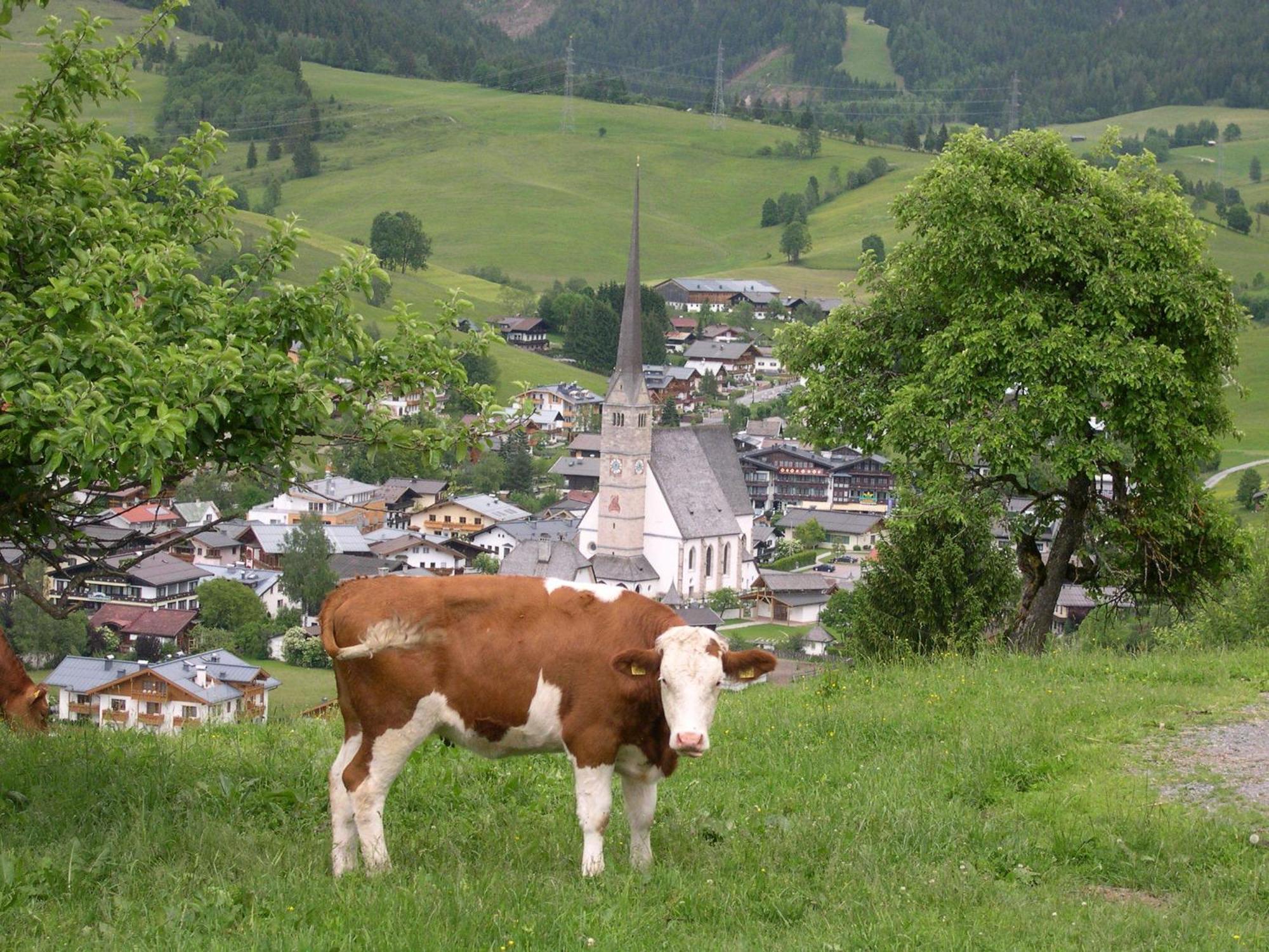 Feriennest Leitner Maria Alm am Steinernen Meer Exterior foto